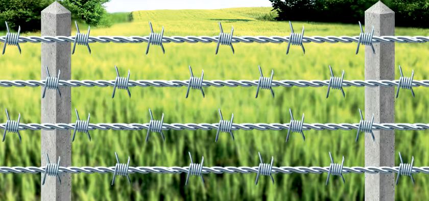 Galvanized barbed wire fencing